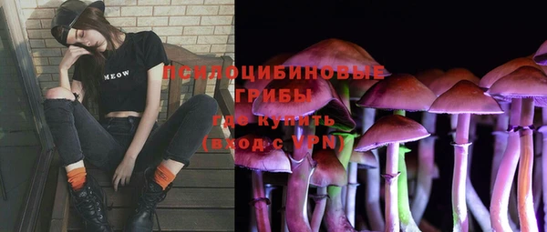 круглые Дмитриев