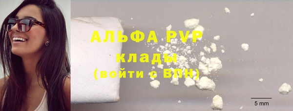 тгк Дмитровск