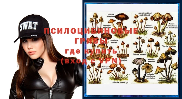 тгк Дмитровск