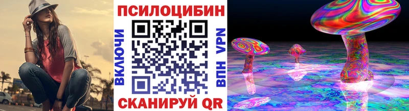 Псилоцибиновые грибы прущие грибы  блэк спрут как войти  Камбарка 