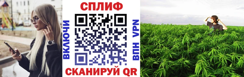 mega tor Камбарка Шишки марихуана MAZAR где можно купить наркотик